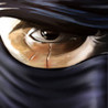 Ninjas Rising Image