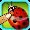 Bug Match Image
