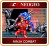ACA NeoGeo: Ninja Combat Image