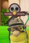 Flying Soldiers Image