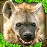 Hyena Simulator Image