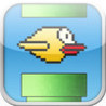 Bird Adventure - Furry Wings Image