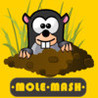Mole Mash Image