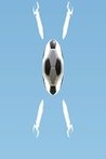 Trajectile Soccer