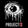Project 13