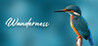 Wanderness Image