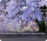 Puzzle Pieces 4: Farewell Dear Winter Image