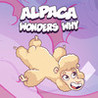 Alpaca Wonders Why Image