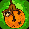 Fruit Tumble Image