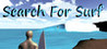 Search for Surf Image