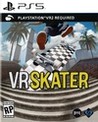 VR Skater