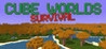 Cube Worlds Survival Image
