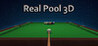Real Pool 3D: Poolians