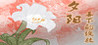 Lilies Under The Setting Sun Image