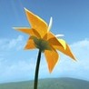Flower Image