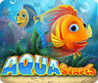 Aquascapes Image