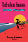 The Endless Summer Surfing Challenge Image