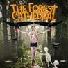 The Forest Cathedral Image