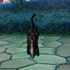 Cute dog Image