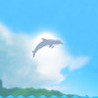 Dolphin Up Image