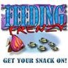 Feeding Frenzy Image