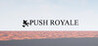 Push battle Royale Image