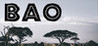 BAO (2020)