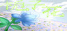 Gardenia (Blue Sky)