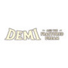 Demi and the Fractured Dream Image