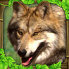 Wildlife Simulator: Wolf Image