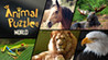 Animal Puzzle World Image