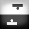 Contranoid Image