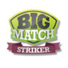 Big Match Striker Image