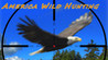America Wild Hunting Image