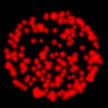 Evaporate Image