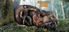 Dinosaur Zoo VR : Dinosaur Hunting