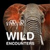 Virry VR: Wild Encounters Image
