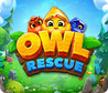 Owl Rescue Image