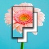 Pictominoes Image