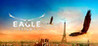 Eagle Flight Image