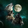 Animal Spirit Image