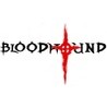 Bloodhound Image