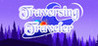 Traversing Traveler