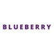 Blueberry Product Image