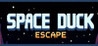 Space Duck: Escape Image