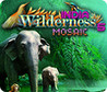 Wilderness Mosaic 5: India Image