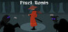 Pixel Ronin