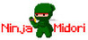 Nina Midori Image
