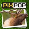 PixPop: America's National Parks Image