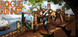 Rogue Runner Product Image
